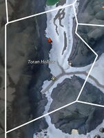 Toran Hollow map.jpg