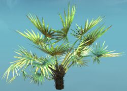 Tropical Bush.jpg