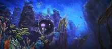 Underwater Homestead Package banner.jpg