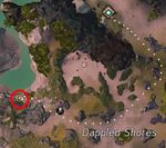 Unusual Debris 2 location.jpg