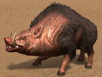 Warthog.jpg