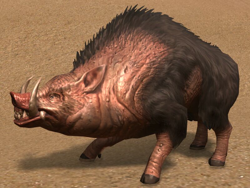 File:Warthog.jpg