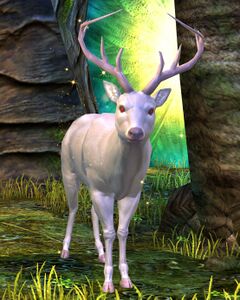 White Stag.jpg