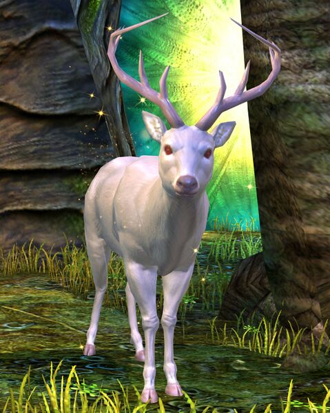 File:White Stag.jpg