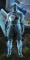 Ascalonian Siege Guard.jpg