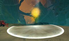 Beneficent Light.jpg