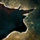 Bovine Leadership.png