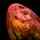 Drake Egg.png
