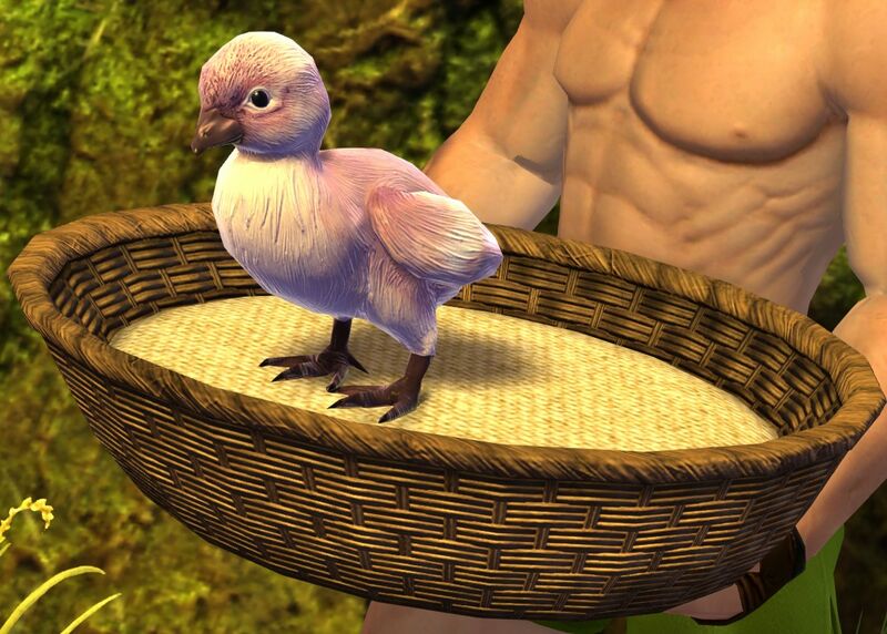 File:Fallen Chick.jpg