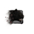 Juvenile Jaguar.png