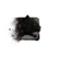 Juvenile Jaguar.png
