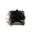 Juvenile Jaguar.png