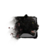 Juvenile Jaguar.png