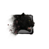 Juvenile Jaguar.png