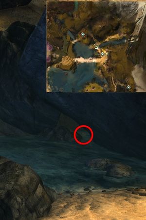 Lion's Arch Exterminator 21.jpg