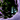 Mini Shade.png
