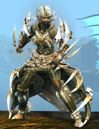 Front view in combat stance