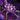 Piece of Mordrem Troll Bladder.png