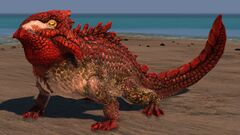 Reef Drake.jpg