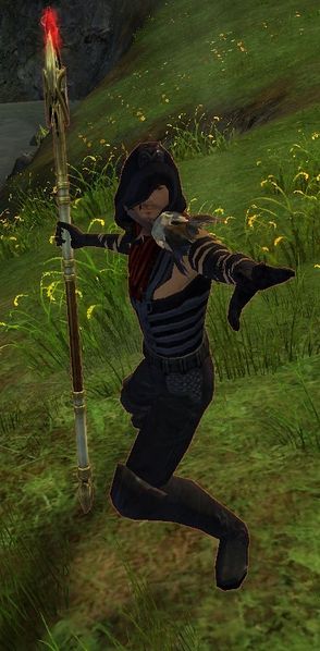 File:Veteran Bandit Caster (male).jpg