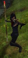 Veteran Bandit Caster (male).jpg
