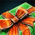 Winter in Summer Mystery Box.png