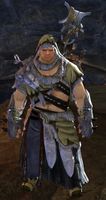 Wolf Shaman.jpg