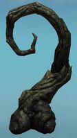 Writhing Twisted Tree.jpg