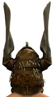 Berserker's Helm back.jpg