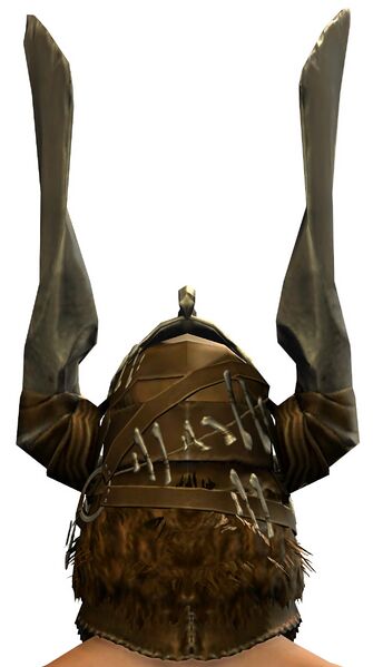File:Berserker's Helm back.jpg