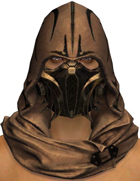 File:Heretical Scholar's Hood.jpg