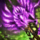 Kasmeer's Staff.png
