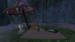 Lyssa's Reliquary cat.jpg