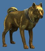 Mini Gold Shiba Inu.jpg