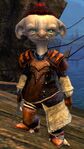 Pirate asura male 8.jpg