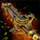Privateer Staff.png