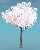 Small Canthan Cherry Tree.jpg
