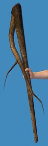 Tree Branch.jpg