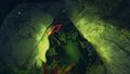User-DiegoDeLaHouska Ley-Infused Heart Skip Path.jpg