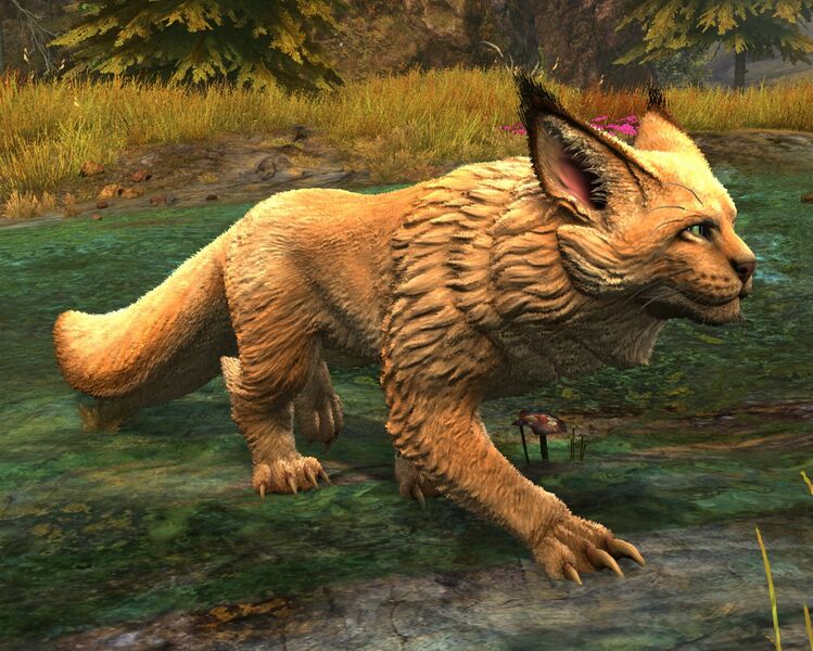 File:Warclaw (orange).jpg