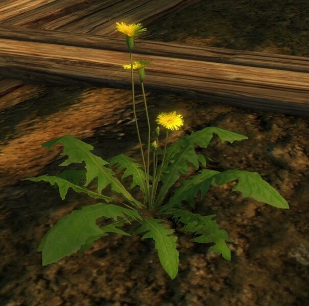 File:Weed (Home Sweet Home).jpg