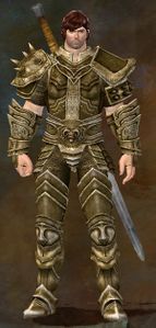 Appearance on heavy armor.