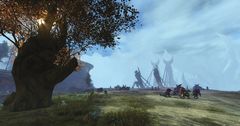 Wolf's Crossing.jpg