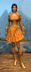Appearance on light armor.