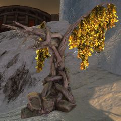 Dragon Effigy.jpg