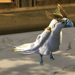 Dwayna's Messenger.jpg