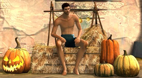 Festive Harvest Chair human male.jpg