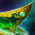 Jade Tech Skiff Skin.png