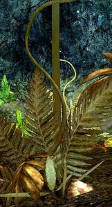Oasis Strangler Vine.jpg