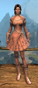 Appearance on light armor.